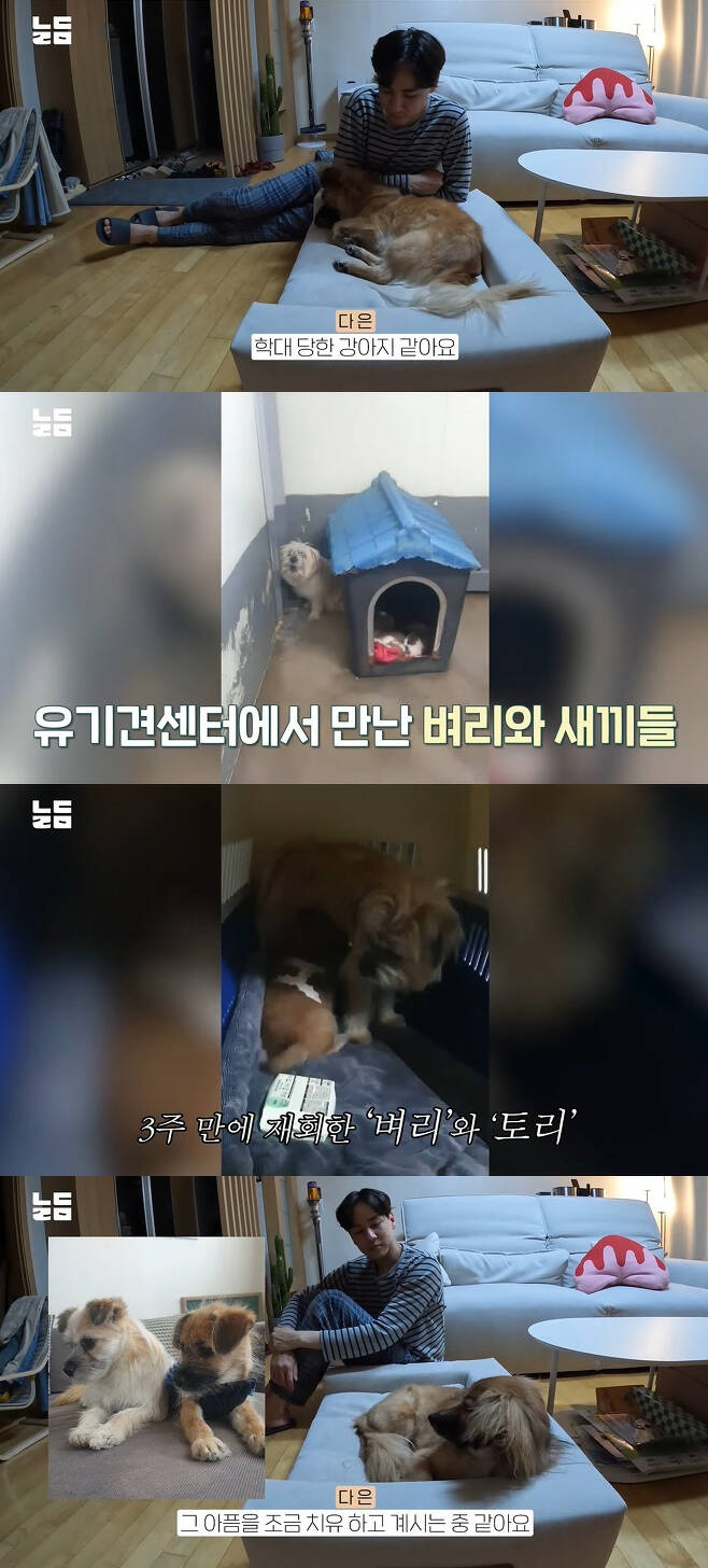 윤남기, 이다은 부부가 새로운 반려견 입양 스토리를 전했다. /사진='남다리맥' 유튜브 캡처