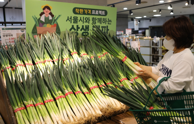 롯데마트는 서울시농수산식품공사, 가락시장 도매법인인 대아청과와 협업해 '상생대파(1㎏)'를 시중 대비 약 20% 저렴한 가격에 판매한다. /사진=롯데마트