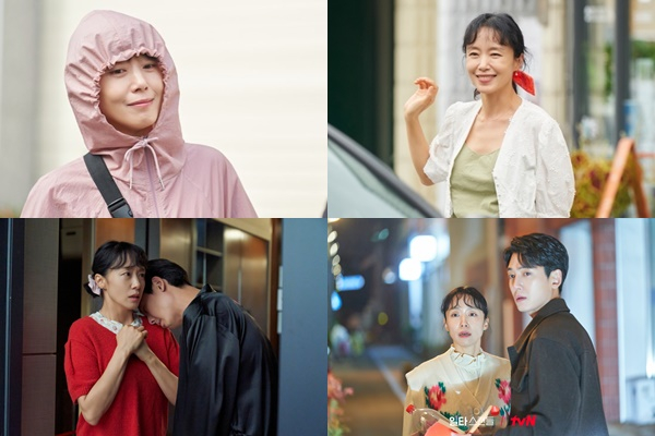 사진은 tvN '일타스캔들'에서 남행선 역을 맡은 전도연과 최치열 역을 맡은 정경호. /사진=tvN 제공