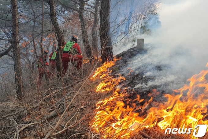 산림청 산불특수진화대원들이 경북 영덕군 영덕읍 화수리 산불현장에서 진화작업을 하고 있다. 2022.2.17/뉴스1 ⓒ News1 최창호 기자