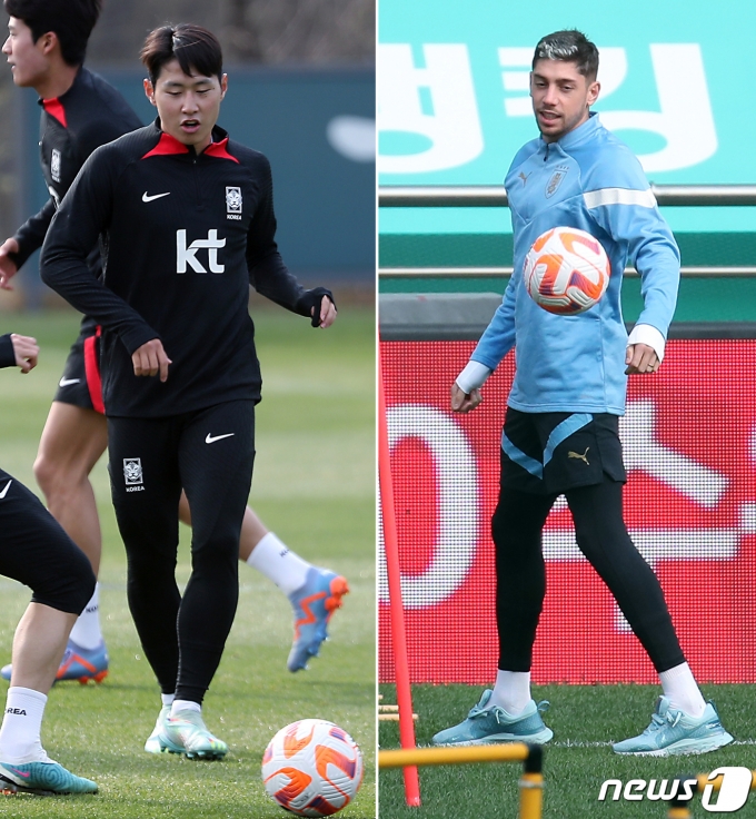 대한민국 축구 국가대표팀 이강인(왼쪽 사진)과 우루과이 대표팀 페데리코 발베르데가 27일 오후 경기도 파주 축구국가대표트레이닝센터(NFC)와 서울월드컵경기장에서 친선경기에 앞서 공식 훈련을 하고 있다. 2023.3.27/뉴스1 ⓒ News1 박정호 기자,민경석 기자