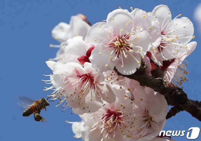  κ   ְ 20 ̻ ö󰡸 Ͽ    30   ν óα  ϴ濡 ܹ ȭɿ   ִ. 2023.3.30/1  News1 迵 