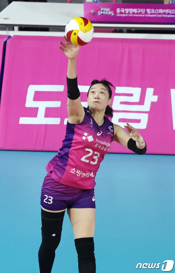 [사진] 서브 넣는 이원정