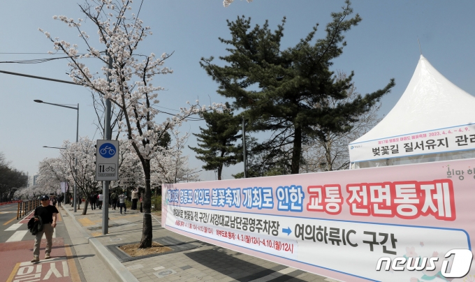 [뉴스1 PICK]'반갑다 여의도 벚꽃' 4년만에 돌아온 여의도봄꽃축제