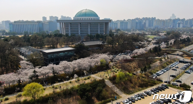 31일 서울 여의도 국회 뒤편 여의서로에 벚꽃이 활짝피어 있다. 코로나19 사태이후 영등포 여의도봄꽃축제가 4년만에 전면개최된다. 봄꽃축제는 4일부터 9일까지 열리며 1일부터 10일까지여의서로 차량이 전면 통제된다. 2023.3.31/뉴스1 ⓒ News1 김진환 기자