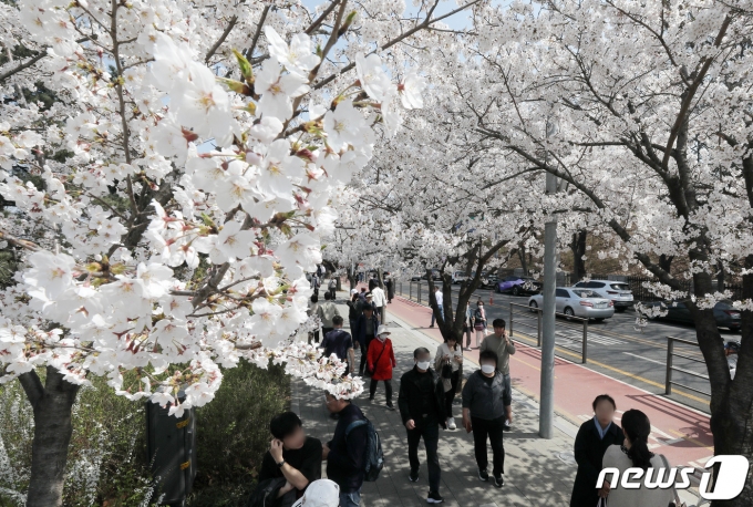 이번주날씨] 화·수요일 전국 비…금요일부터 다시 건조해져 - 머니S
