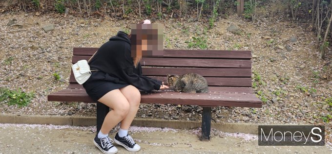 지난 4일 진주 경상대 캠퍼스에서 한 학생이 길고양이와 단란한 시간을 보내고 있다./사진=머니S 임승제 기자