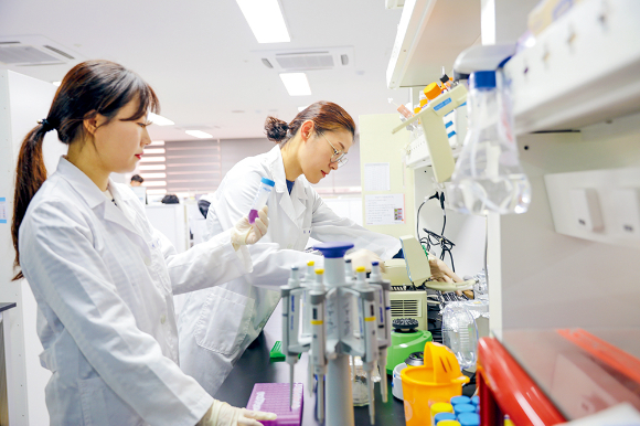 HLB생명과학은  반려견의 유선암 치료제를 개발하고 있다. 사람을 대상으로 안전성과 효능을 끝마친 항암제 후보물질 리보세라닙을 활용하는 것이어서 개발 성공 기대감을 높이고 있다. 사진은 연구개발에 열중하고 있는 HLB생명과학 연구원. /사진=HLB생명과학