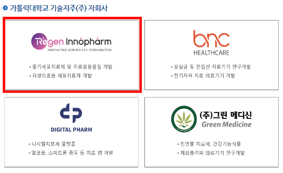 리젠이노팜(왼쪽 위 붉은색 네모)의 기업 설명에 '줄기세포치료제 및 치료응용물질 개발'이 기재돼 있다. /사진=가톨릭대학교 기술지주 자회사 홈페이지 캡처