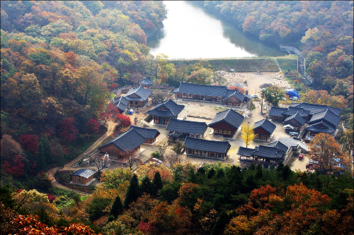전남 영광 불갑사. /사진=영광군