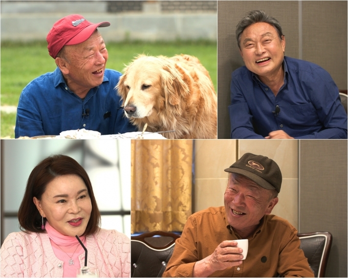 TV조선