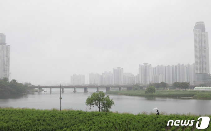 안개. .2023.5.19/뉴스1 ⓒ News1 김지혜 기자