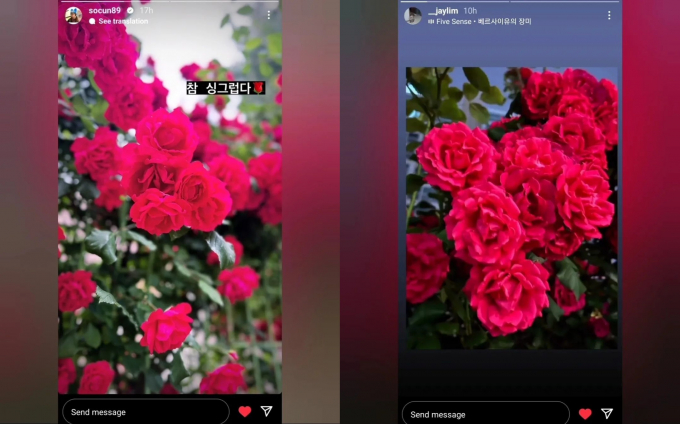 사진은 김소은과 송재림 인스타그램에 올라온 장미꽃 게시물. /사진=송재림, 김소은 인스타그램