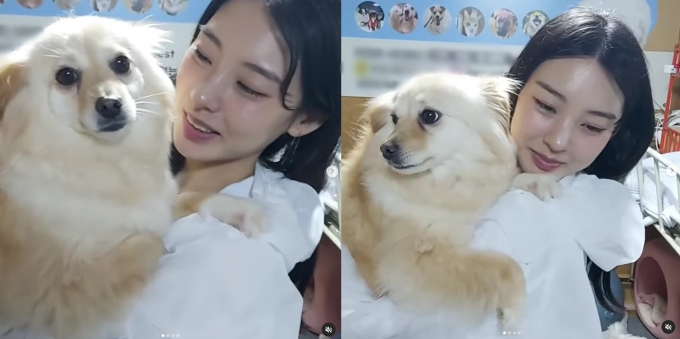 댄서 노제의 근황이 포착됐다. /사진=유기견 보호소 인스타그램