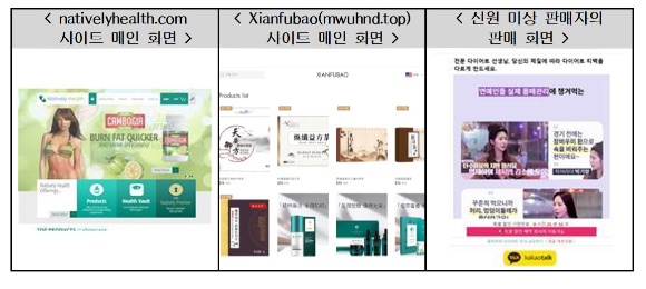 다이어트 보조제 관련 소비자불만 상담이 늘어나고 있다. 사진은 문제의 사이트 메인 화면. /사진=한국소비자원