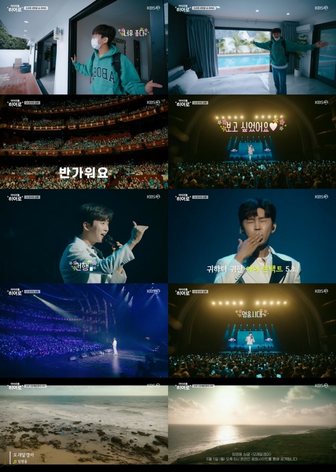 임영웅
