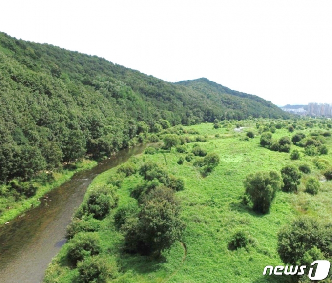대전 갑천 전경(환경부 제공) ⓒ 뉴스1
