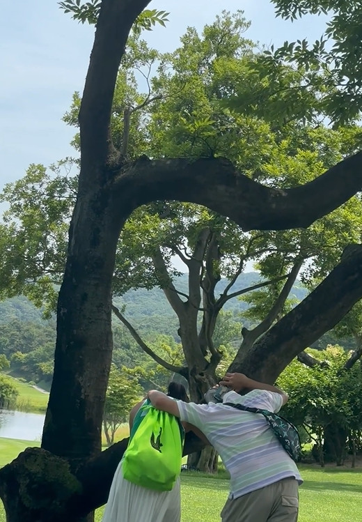 이혜영