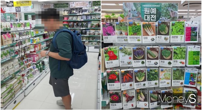 Z시세] 