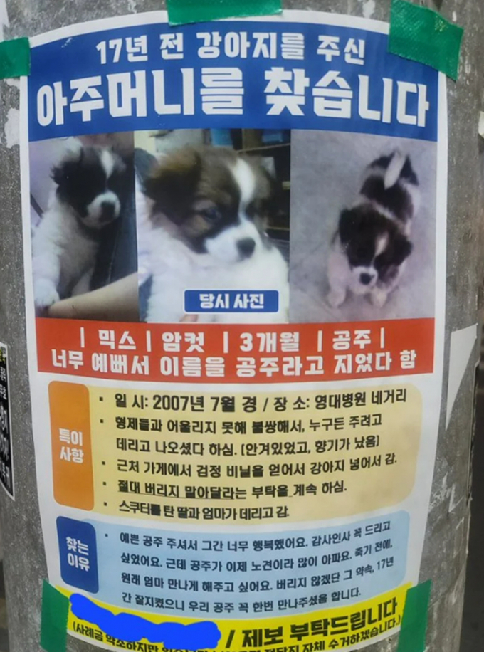 최근 온라인 커뮤니티를 중심으로 16년 전 대구에서 강아지를 분양해 준 아주머니를 찾는다는 사연이 확산되고 있다. 사진은 지난 2007년 분양받은 '공주'의 원래 주인을 찾는다는 전단지. /사진=온라인 커뮤니티 캡처