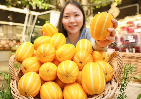 현대그린푸드가 전국 현대백화점 16개 점포 식품관에서 성주참외를 판매한다. /사진=현대그린푸드