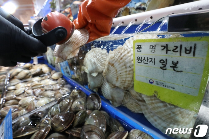 서울 동작구 노량진수산시장에서 수산시장 관계자가 일본산 가리비를 대상으로 방사능 측정을 하고 있다.  2021.4.13/뉴스1 ⓒ News1 민경석 기자