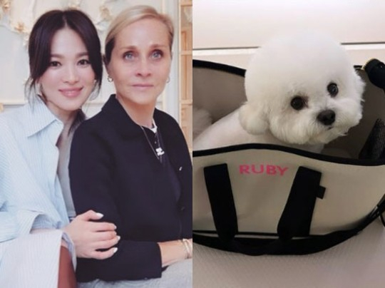 /사진=송혜교 인스타그램