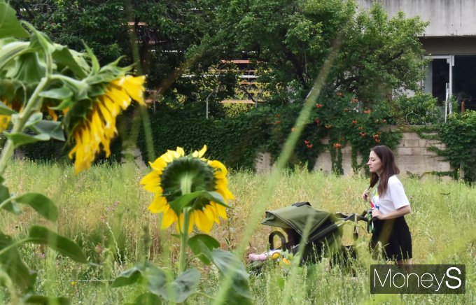 [포토스토리] 뼈아픈 역사 뒤로… 110년만에 돌아온 '열린 송현'