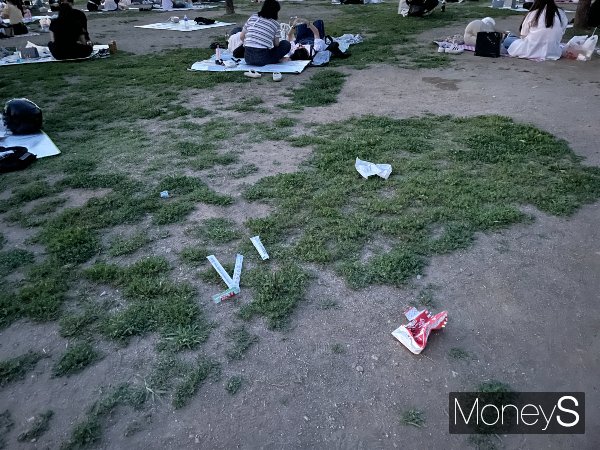한강공원 곳곳에 쓰레기가 버려져 있다. 사진은 지난 18일 서울 영등포구 여의도 한강공원 잔디밭에 버려진 쓰레기. /사진=염윤경 기자 