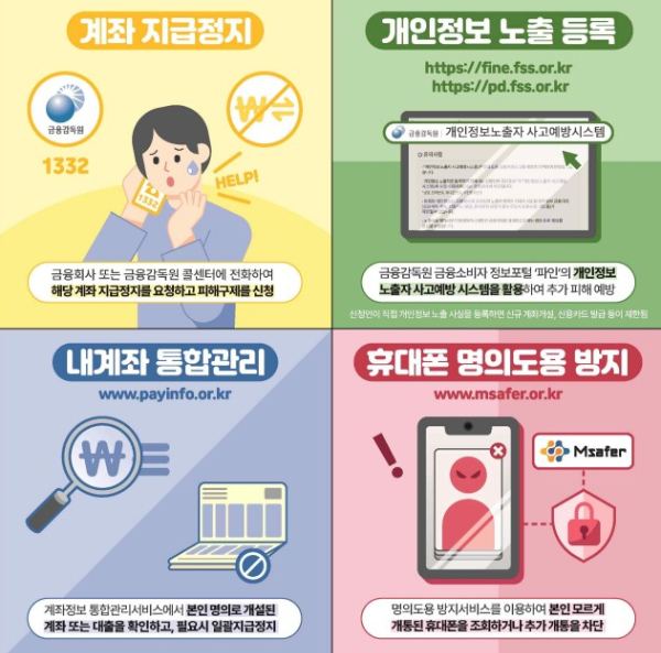 그래픽=금융감독원