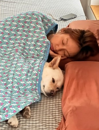 이효리는 지난 9일 자신의 소셜미디어에 별다른 멘트 없이 반려견과 한 이불을 덮고 낮잠을 자는 모습이 담긴 사진을 게재했다. /사진=이효리 인스타그램 캡처 