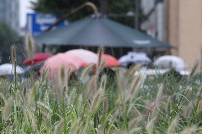 오는 16일 전국에 간헐적 비가 내릴 예정이다. 사진은 서울 종로 광화문 인근에서 우산을 쓰고 걸어가는 시민. /사진=뉴시스
