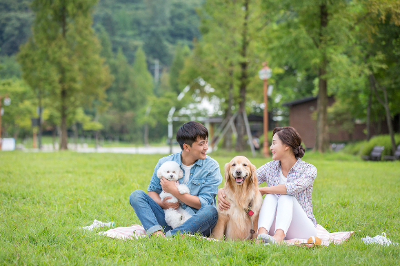 반려동물 인구가 늘어나면서 펫산업 규모도 커지고 있다. 사진은 반려동물 가구 이미지. /사진=이미지투데이