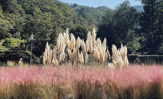 춘천 제이드가든의 가을 전경. /사진=제이드가든 인스타그램