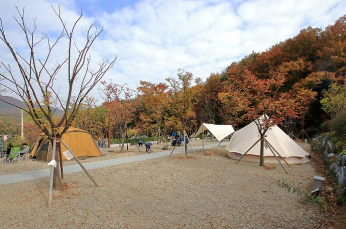 초막골생태공원 느티나무 야영장은 일반캠핑과 글램핑을 함께할 수 있는 공간으로 사랑받고 있다. /사진=한국관광공사 고캠핑 제공