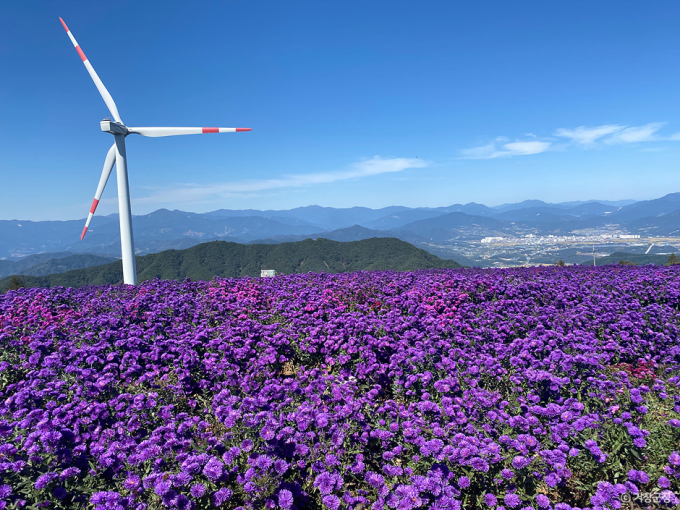 감악산 풍력발전단지에 있는 꽃밭은 해발 900m 지점에 조성됐다. 사진은 경남 거창군에 위치한 감악산 풍력발전단지. /사진=한국관광공사