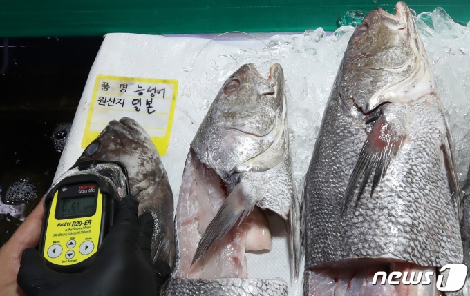 서울 동작구 노량진 수산시장에서 시장관리부 직원이 일본산 수산물에 대한 방사능 검사를 하고 있다. (뉴스1 DB, 기사 내용과 관련 없음) ⓒ News1 김성진 기자