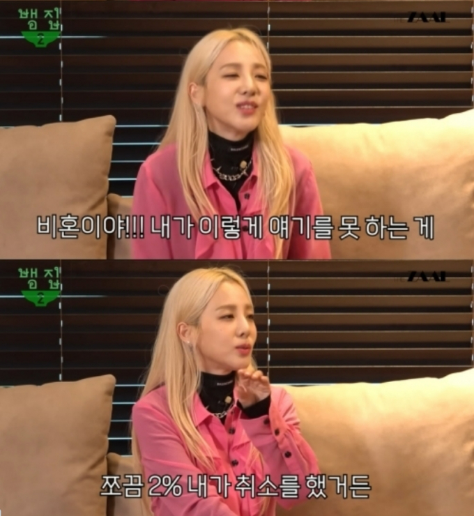 비혼에 대해 설명하는 산다라박. / 사진=유튜브 채널 '뱀집'