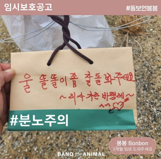 한 견주가 이사를 간다는 이유로 키우던 강아지를 버리면서 남긴 메모가 공개돼 누리꾼들의 공분을 사고 있다. 사진은 주인니 놓고 간 팻말 /사진=동물보호연대 인스타그램 캡처