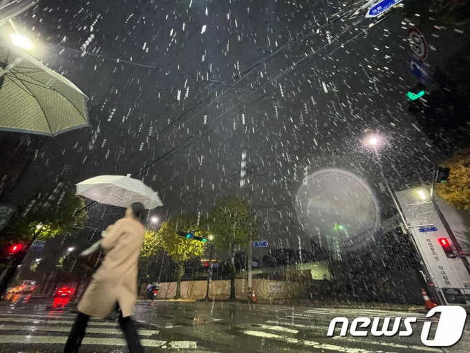 지난 17일 광주 서구 월산동에 올해 첫눈이 내리고 있다. ⓒ News1 김태성 기자