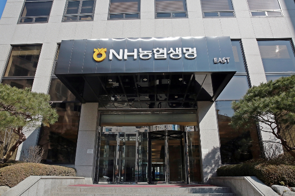 NH농협생명이 헬스케어 사업 강화의 일환으로 현대그린푸드와 손잡았다. 사진은 농협생명 광화문 사옥./사진=농협생명