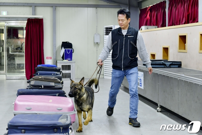 공군이 마약탐지 군견 2마리를 양성해, 공군제20전투비행단과 교육사령부에 배치했다.  (공군 제공) 2023.12.3./뉴스1