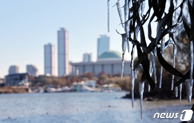 21대 마지막 정기국회를 둘러싸고 정국이 얼어붙고 있는 30일 서울 여의도 한강변 나무에 얼어붙은 고드름 뒤로 국회의사당이 보이고 있다./뉴스1 ⓒ News1 박정호 기자