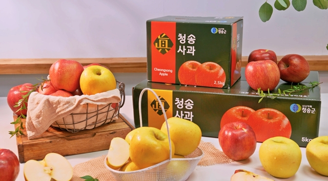 청송군이 청송사과 해외시장 진출 시 안정적인 정착을 위해 해외수출용 홍보동영상을 제작했다./사진제공=경북 청송군