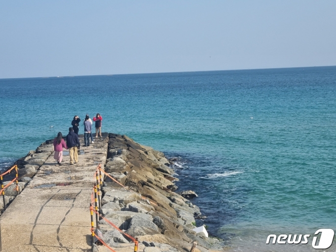 낮 최고기온이 20도에 육박해 포근한 날씨를 보인 강원 강릉시 영진해변 도깨비 방사제에서 가벼운 옷을 입은 나들이객들이 사진을 찍으며 즐거운 시간을 보내고 있다. 2023.12.8/뉴스1 ⓒ News1 한귀섭 기자