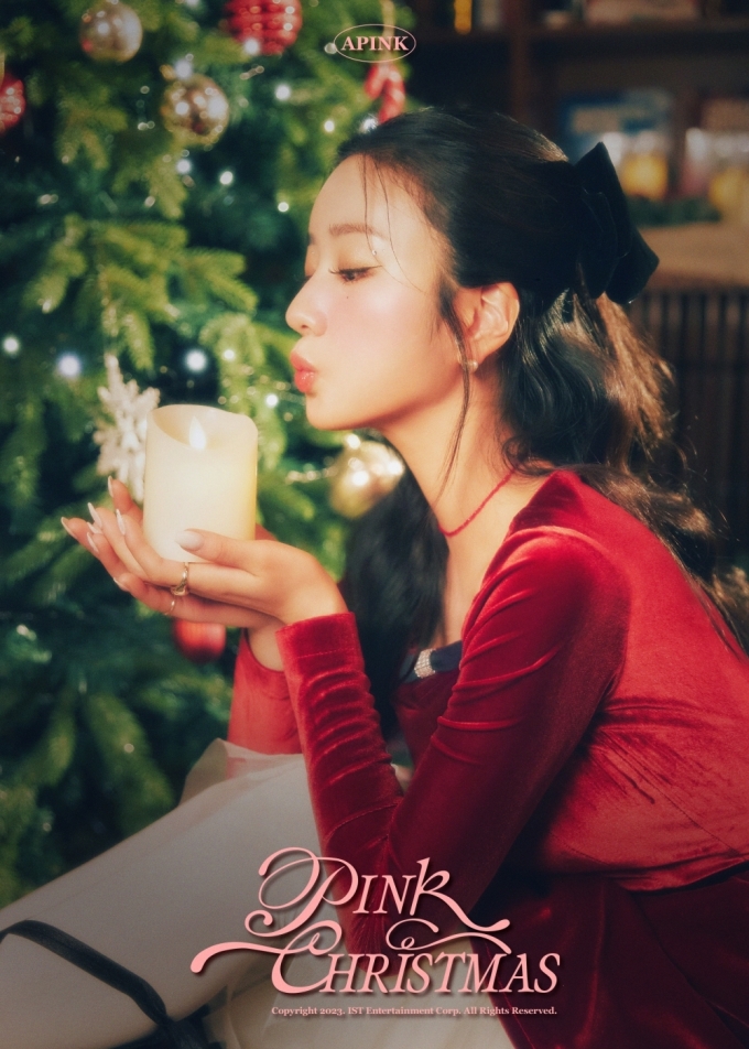 사진=에이핑크 사회관계망서비스(SNS)