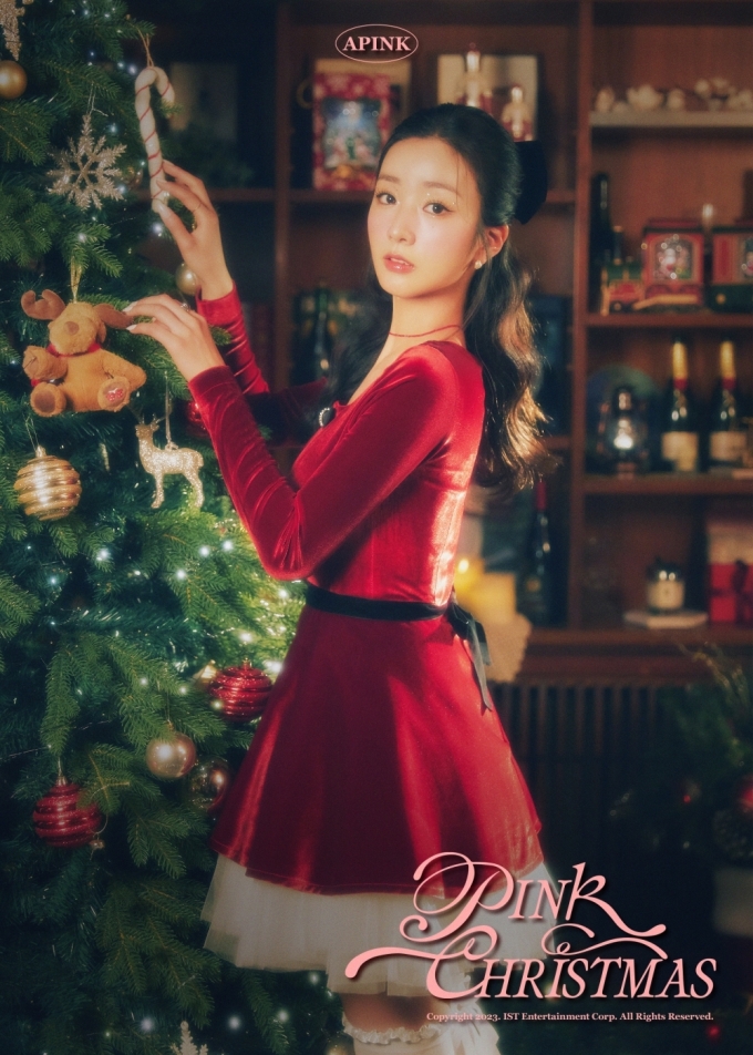 사진=에이핑크 사회관계망서비스(SNS)