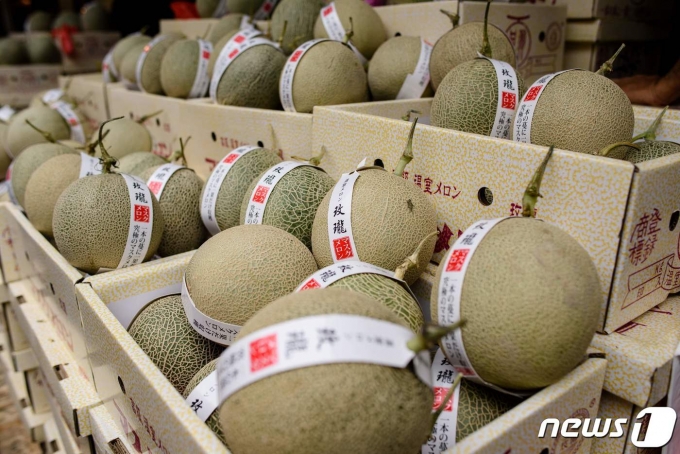 캔탈로프 멜론 <자료 사진>ⓒ AFP=뉴스1