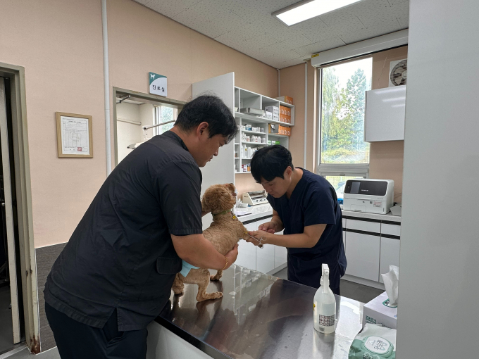 경기도는 지난해 개정된 '수의사법'에 따라 올해부터 수의사가 1인 이상인 모든 동물병원은 진찰. 입원, 검사비 등 주요 진료항목 비용을 게시해야 한다. 사진은 진료 모습.  / 사진제공=경기도
