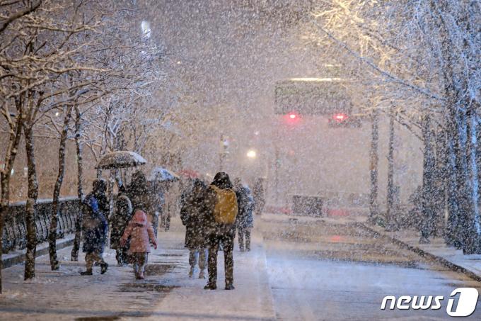 [사진] 함박눈 내리는 도심 거리